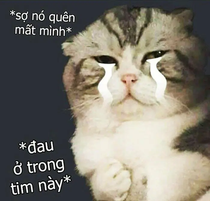 Meme khóc buồn cười trong một ngày dài