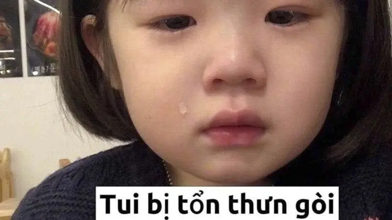 Meme đã khóc mui phiếu vui tính