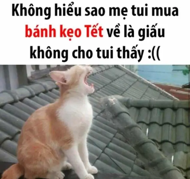 Meme không hiểu với khuôn mặt hoang mang