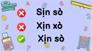 xịn sò hay sịn sò hay xịn xò