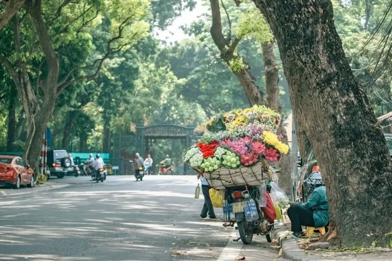 Vẻ đẹp yên bình được sao chép rõ ràng trong 4 mùa