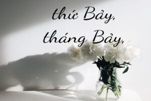 thu bay hay thu bay