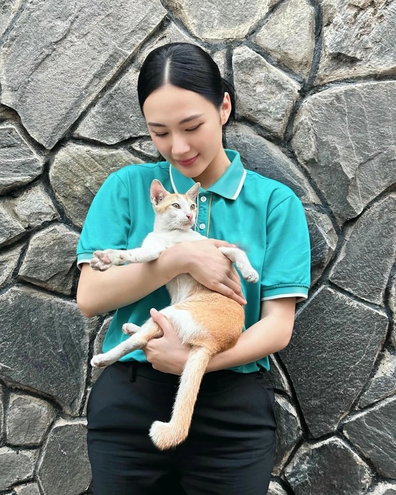 Xem lại loạt phim nổi tiếng Angela Phuong Trinh
