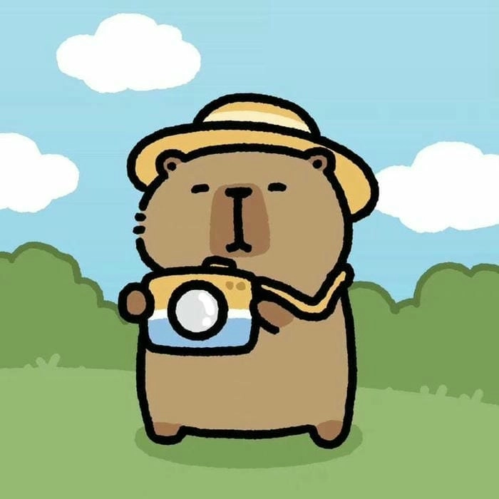 Ngưỡng mộ capybara chibi đơn giản