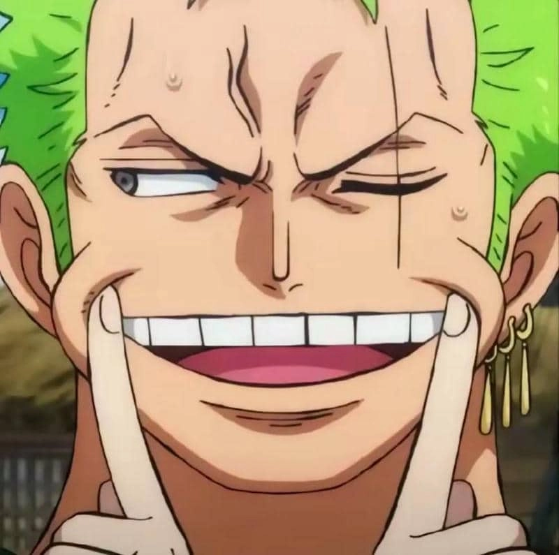 Tóm tắt của Zoro Chibi dễ thương
