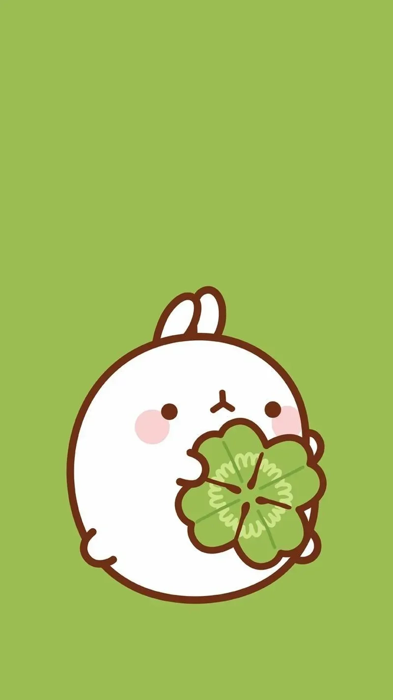 Thỏ biến thành Hello Kitty Hello Kitty Thỏ dễ thương