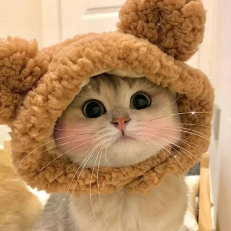 Hình ảnh chibi dễ thương tất cả các trục trặc